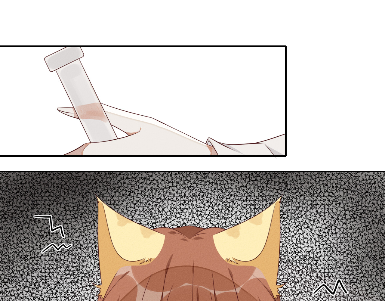 猫里狗气 第一话 药水 第46页