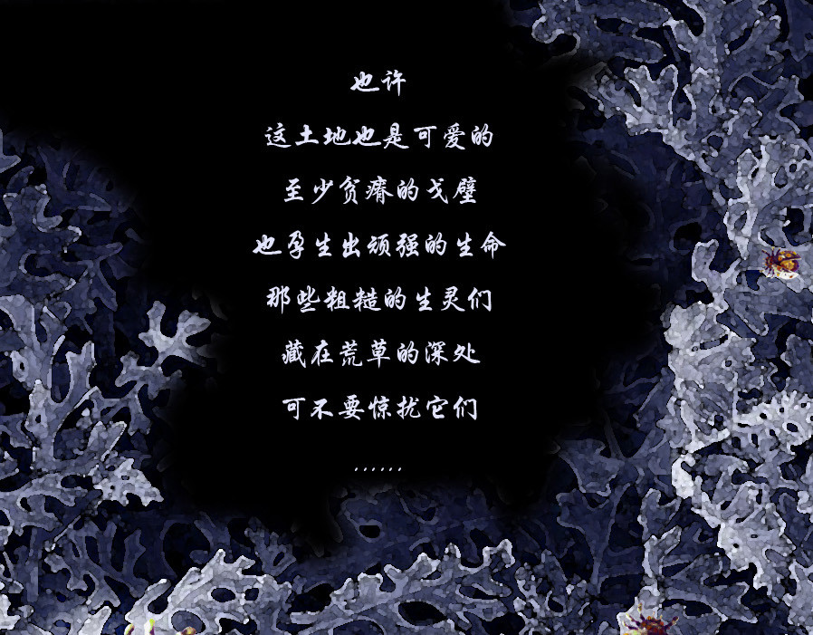 风孩子 上 第69页