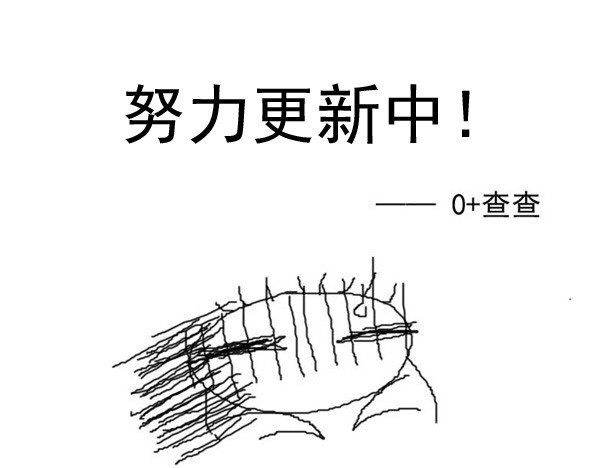风孩子 上 第73页