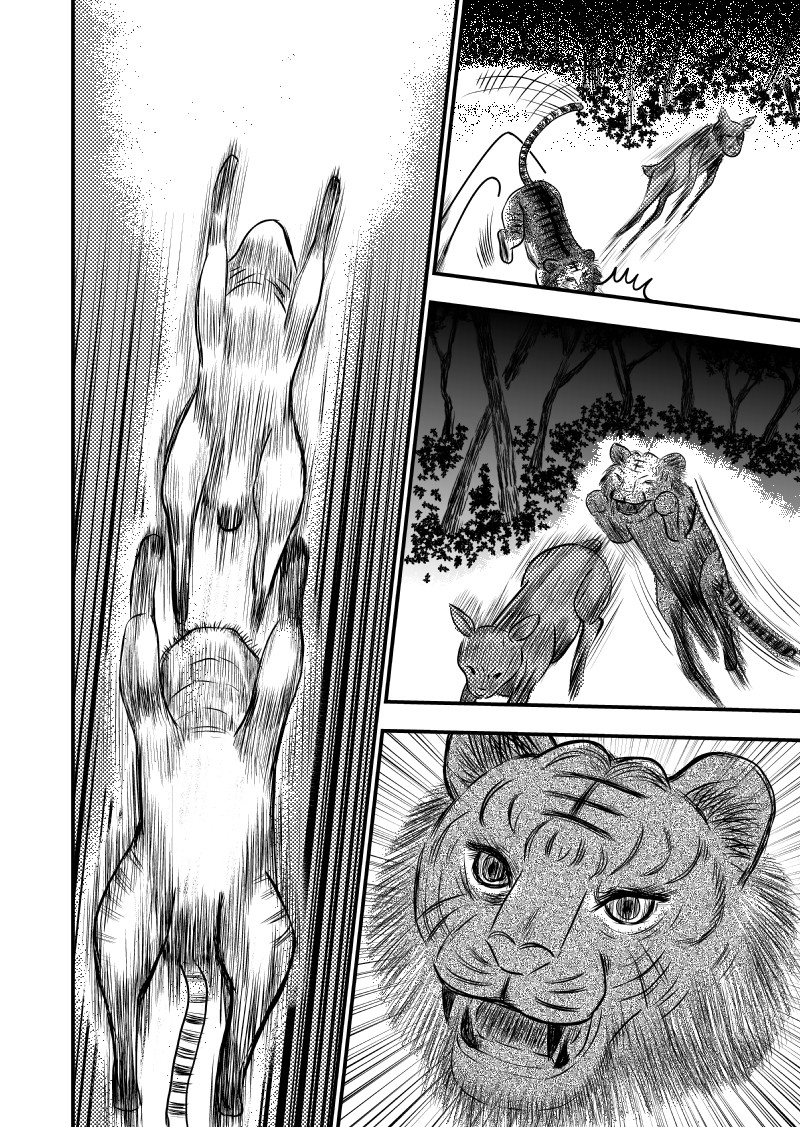 忘途集 第2页