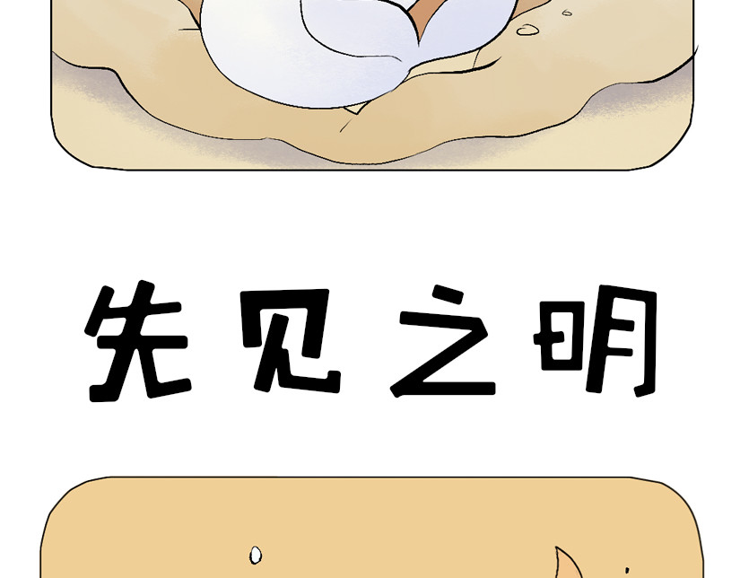 一起玩 海床上的嬉戏 第11页