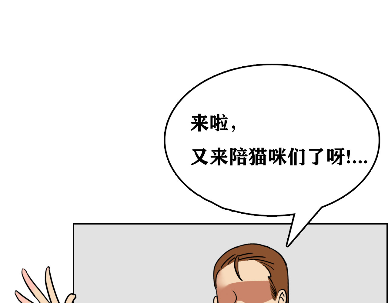 百鬼录 发现端倪 第61页