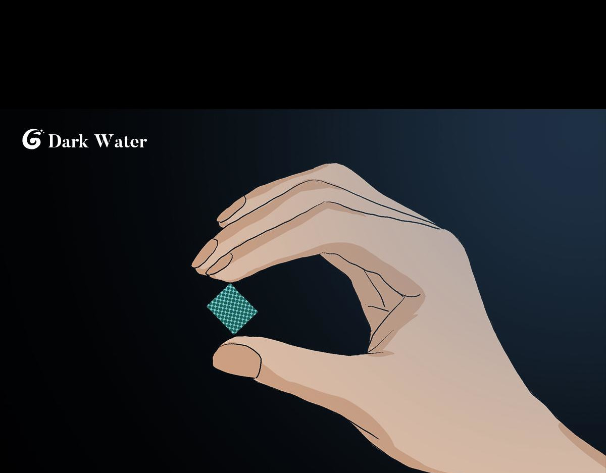 黑水（Dark Water） 恶之花 第89页