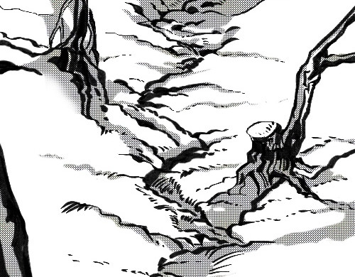 破坏者 森林 第74页