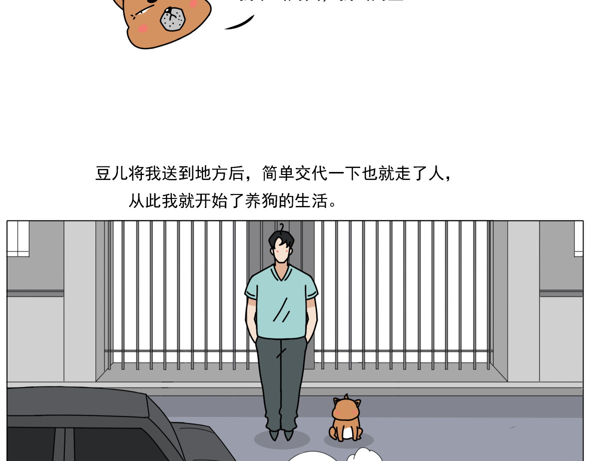 人间别野 养狗那些事儿 第2页