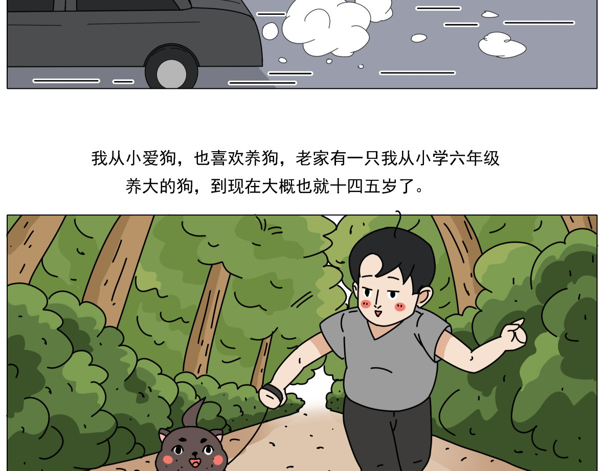 人间别野 养狗那些事儿 第3页
