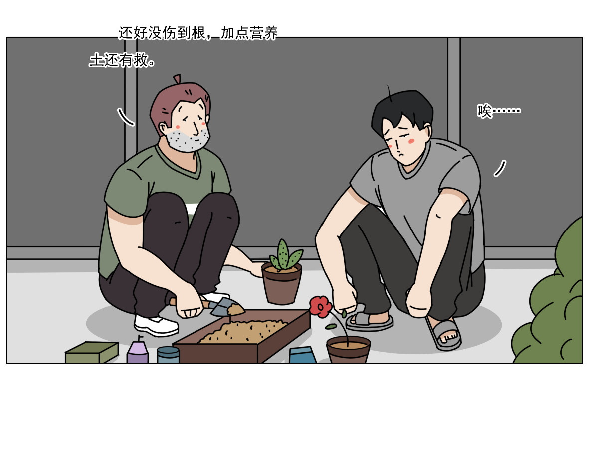 人间别野 绿植匠 第26页