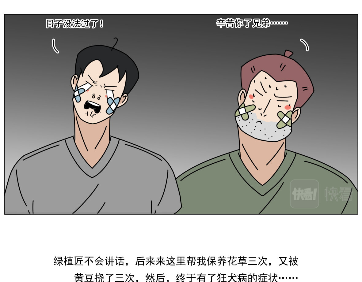 人间别野 绿植匠 第46页