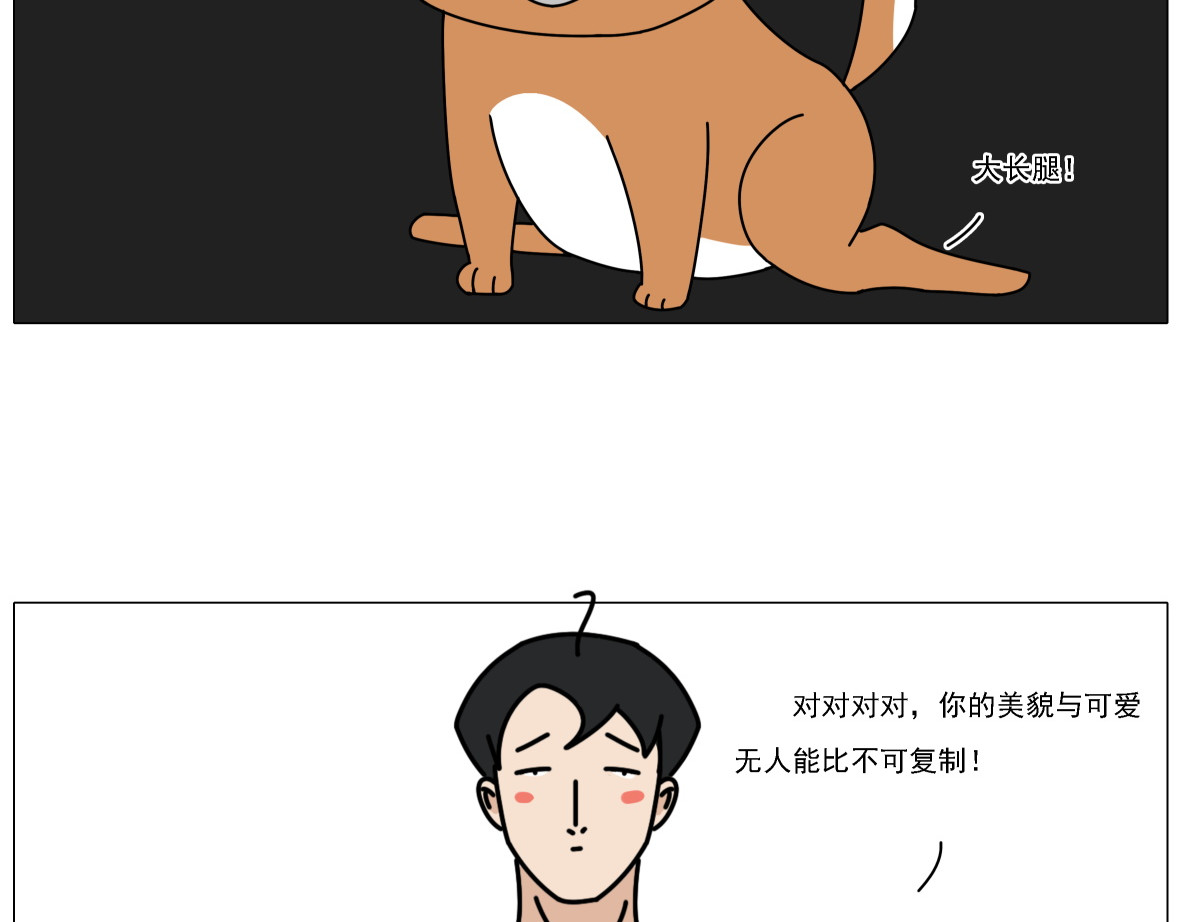 人间别野 绿植匠 第8页