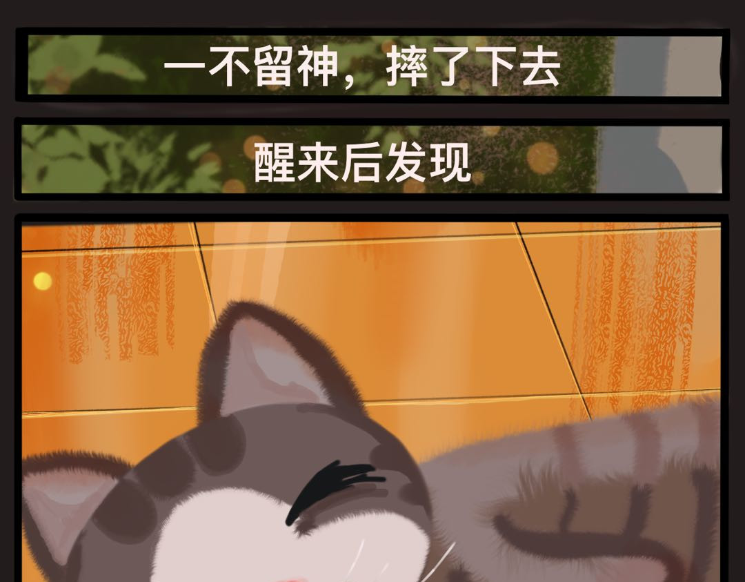 一日猫 第一回 第21页