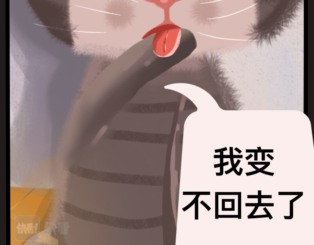 一日猫 第一回 第24页
