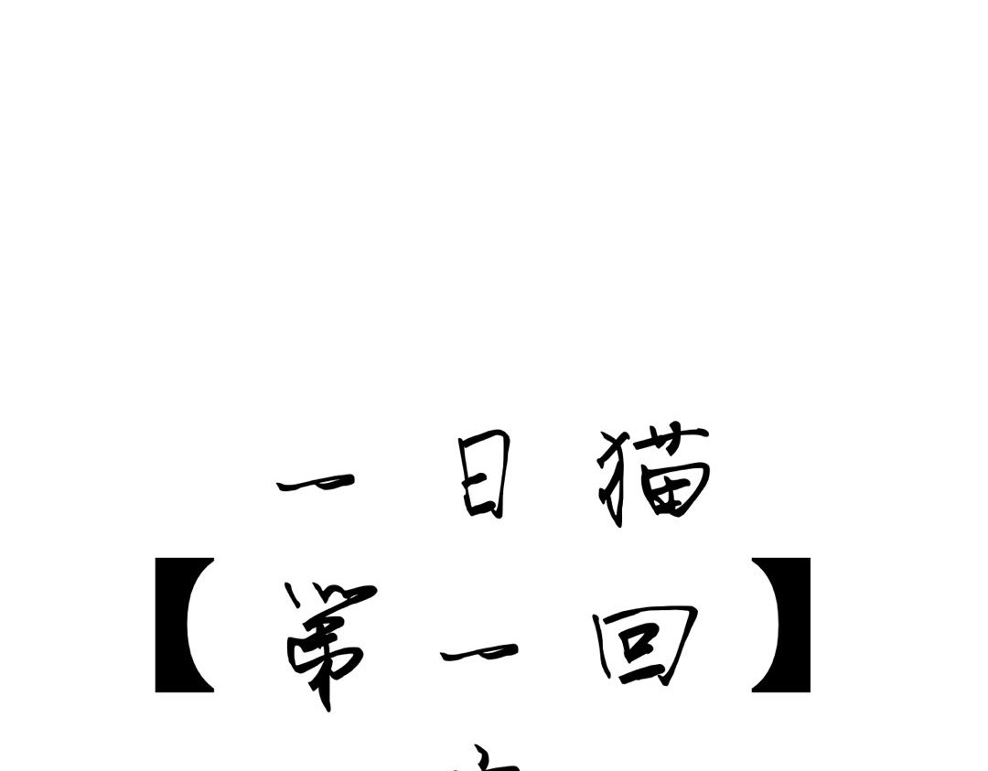 一日猫 第一回 第43页