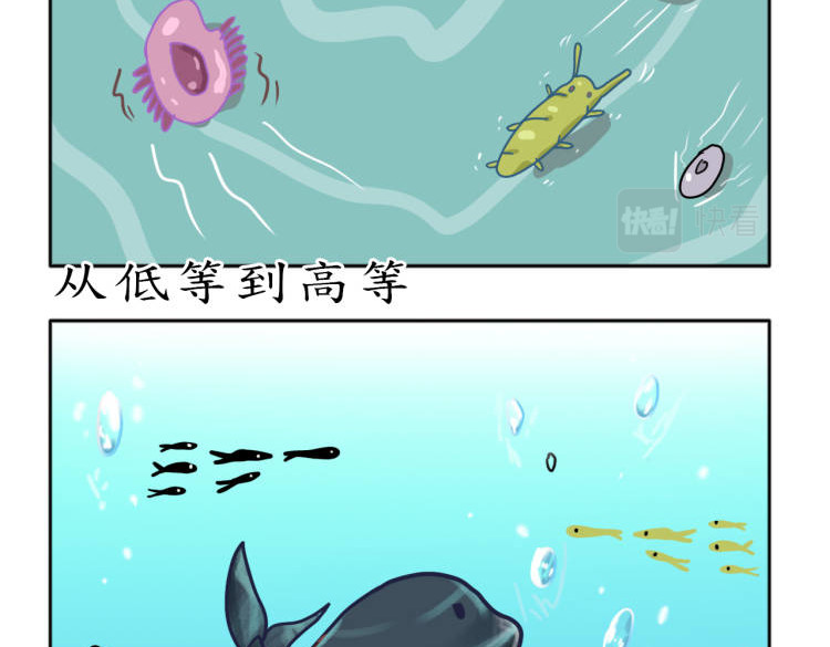 阿中呐 原来如此，他的诞生是因为信仰 第14页