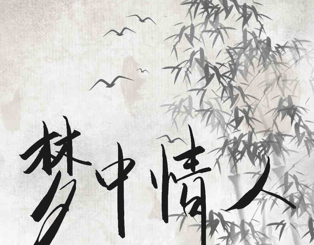 梦中情人 第3页
