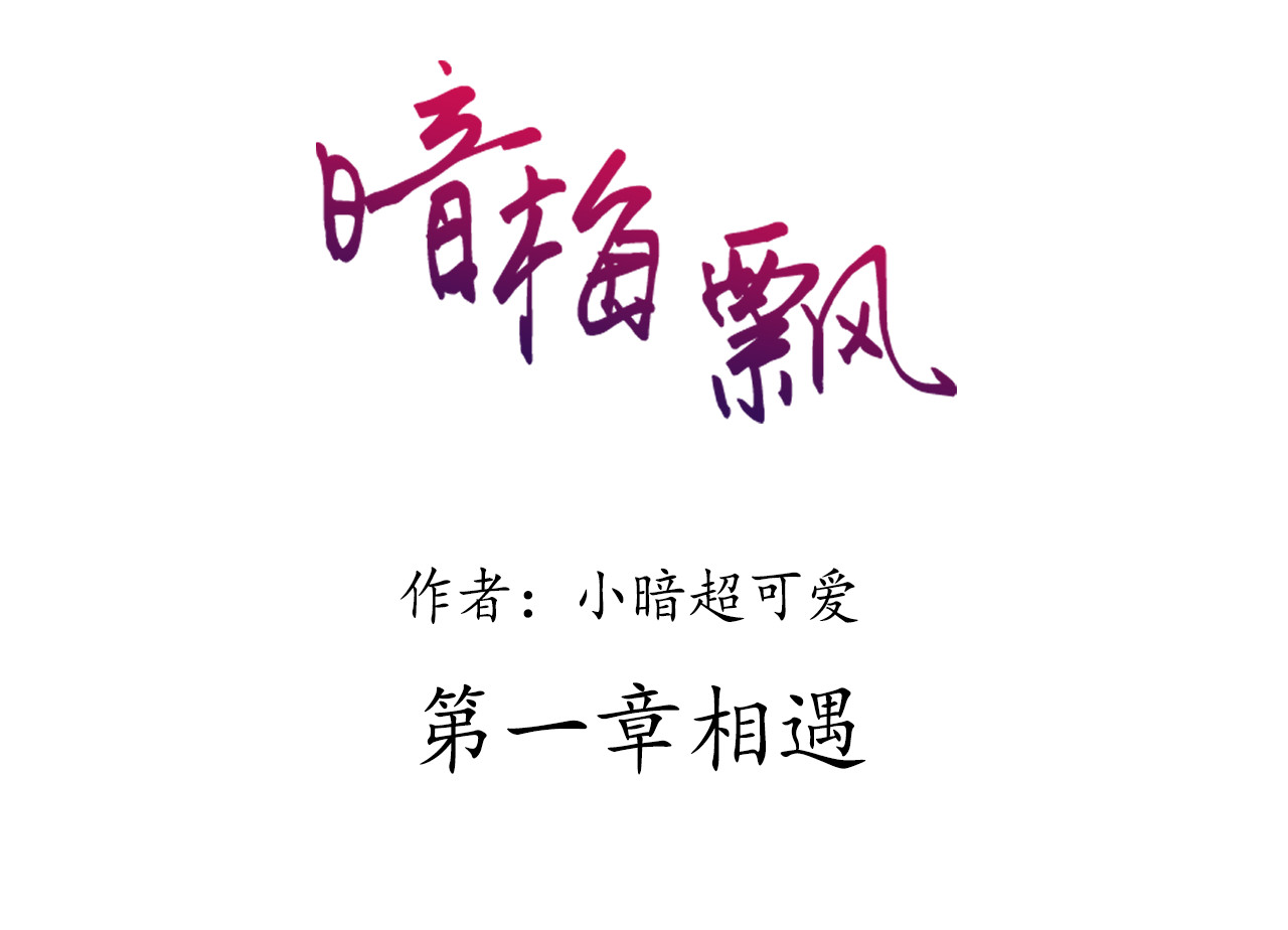 暗梅飘 第1页
