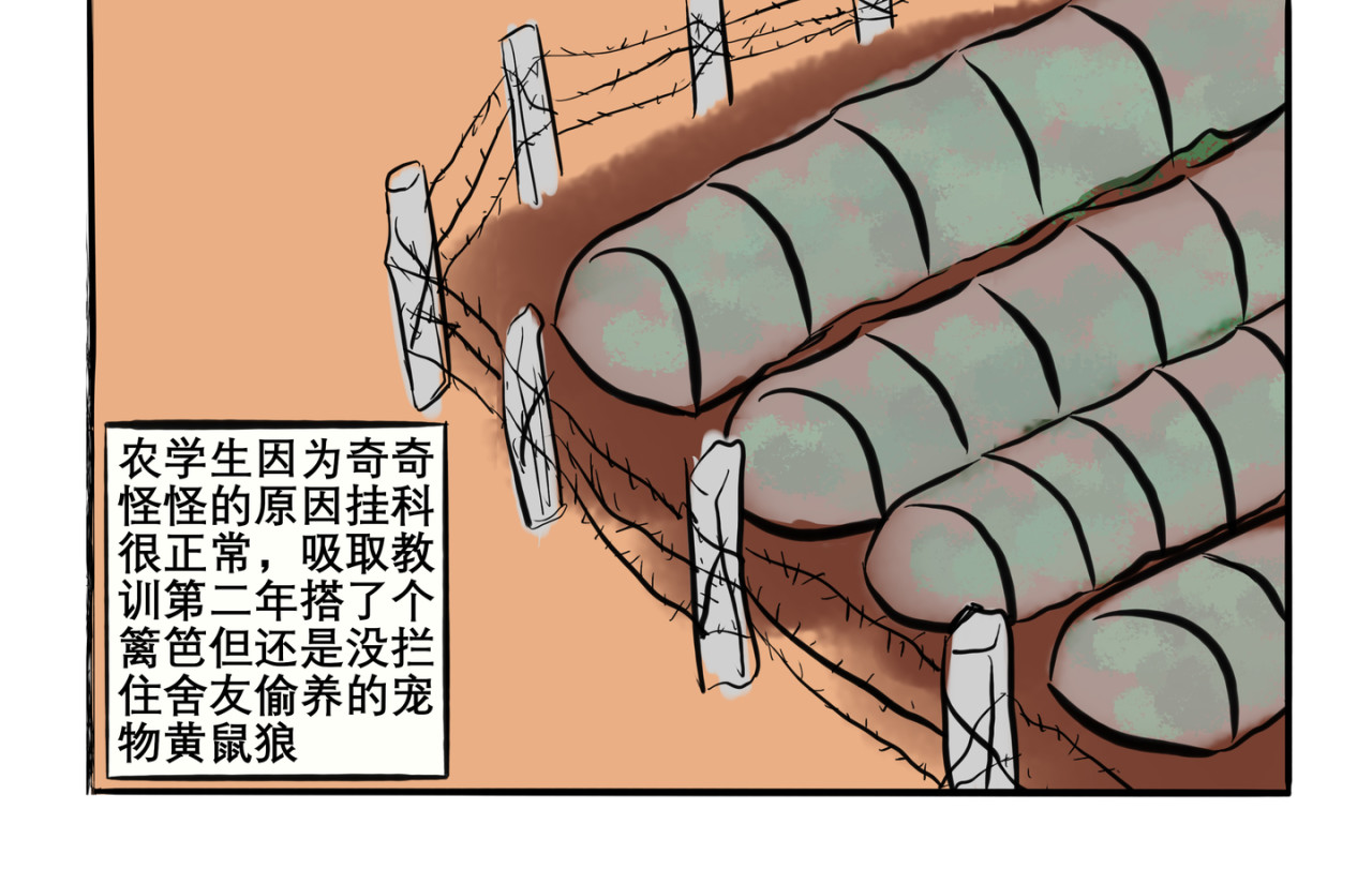 可盐可甜 商业奇才的财富经 第12页
