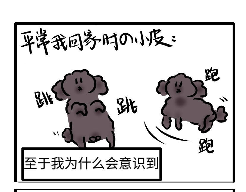 犬失格 第1话 第11页