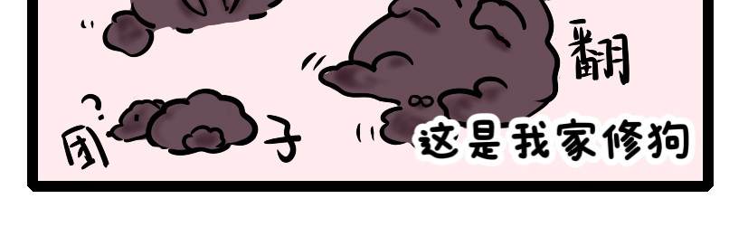 犬失格 第5页