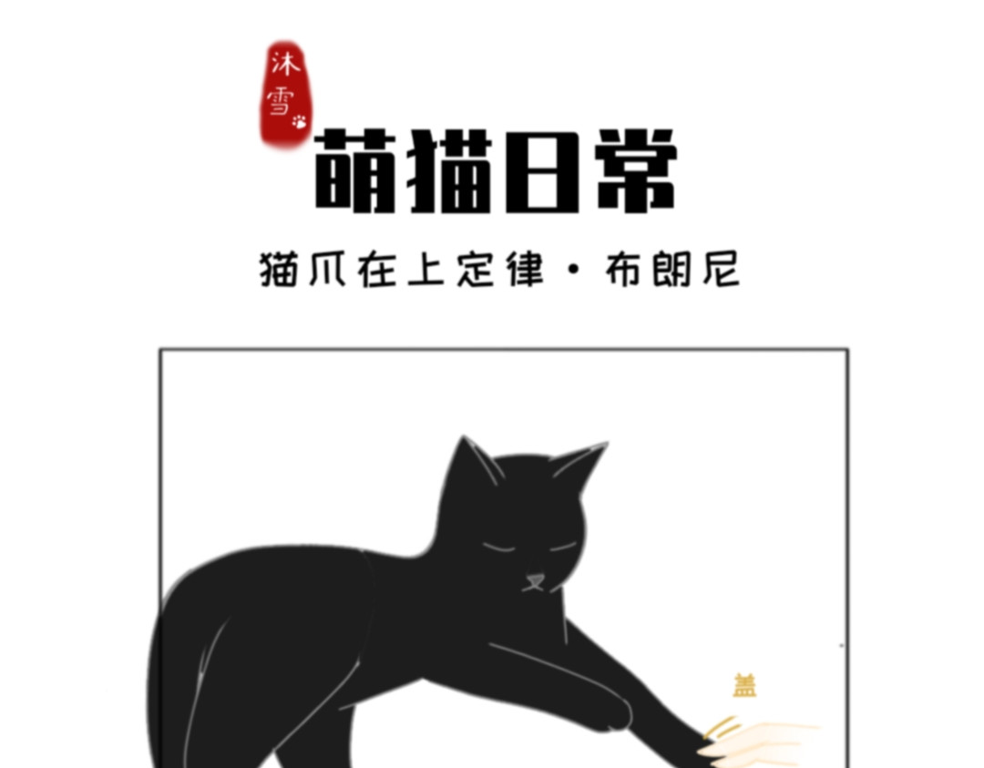 萌猫日常 第7页