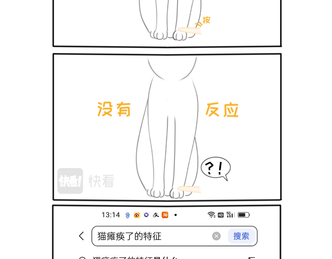 萌猫日常 猫爪在上定律·糯米糍 第3页