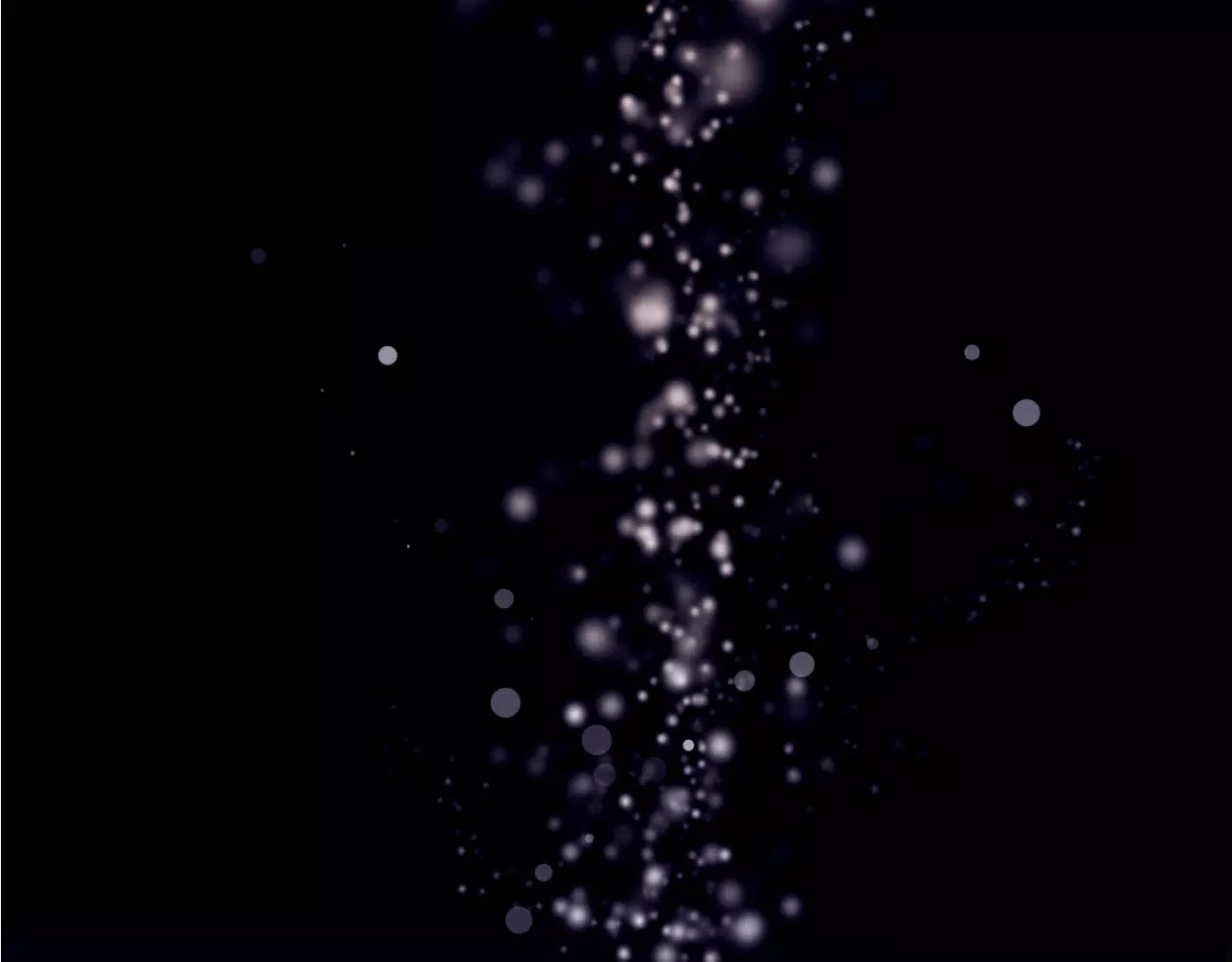 无印良宠 第6页
