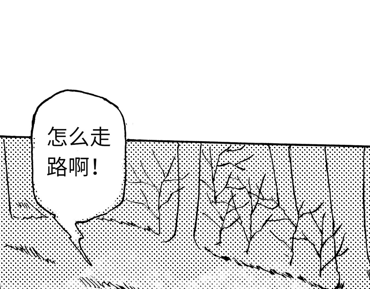 琼花河 沈星河 第27页
