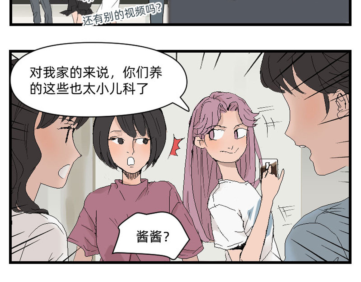 同居七年半 我的宠物实在是太可爱了 第5页