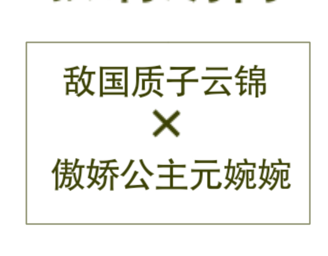 花轿外 第4页