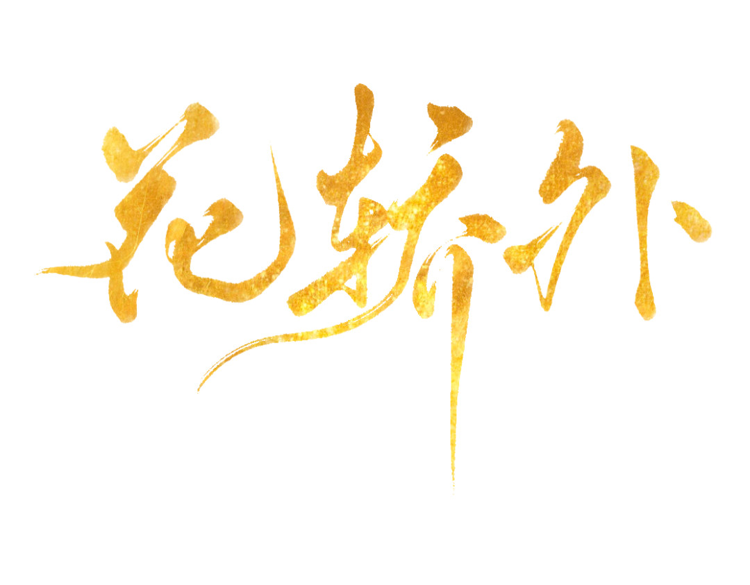花轿外 第5页