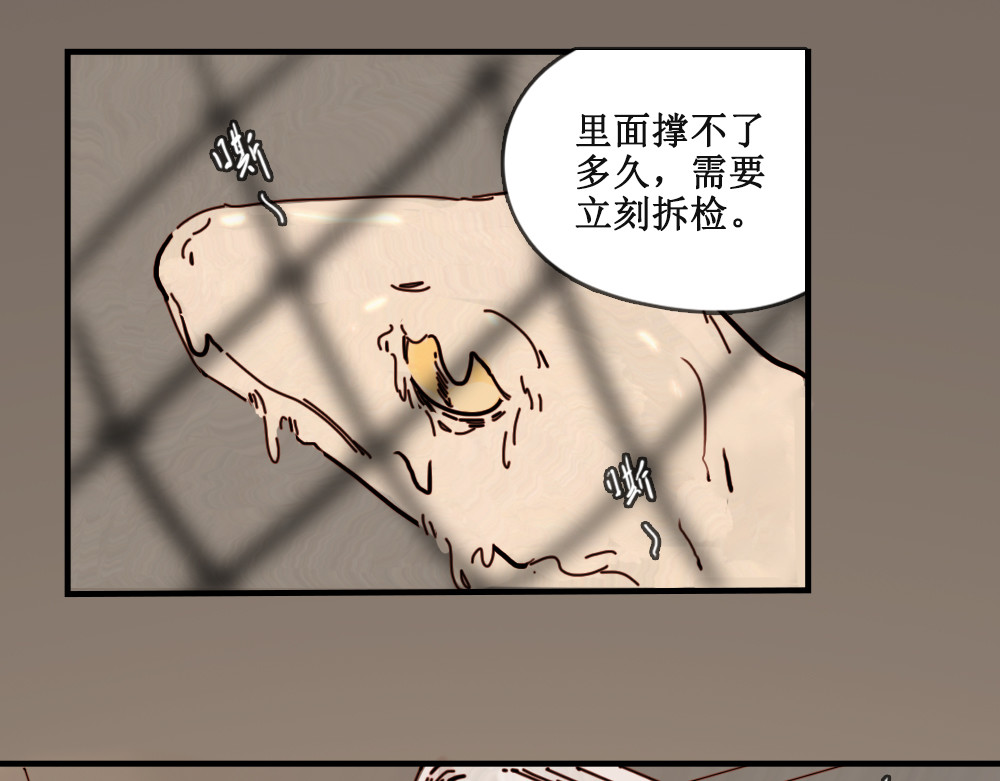 黄金脊 壁虎（下） 第8页
