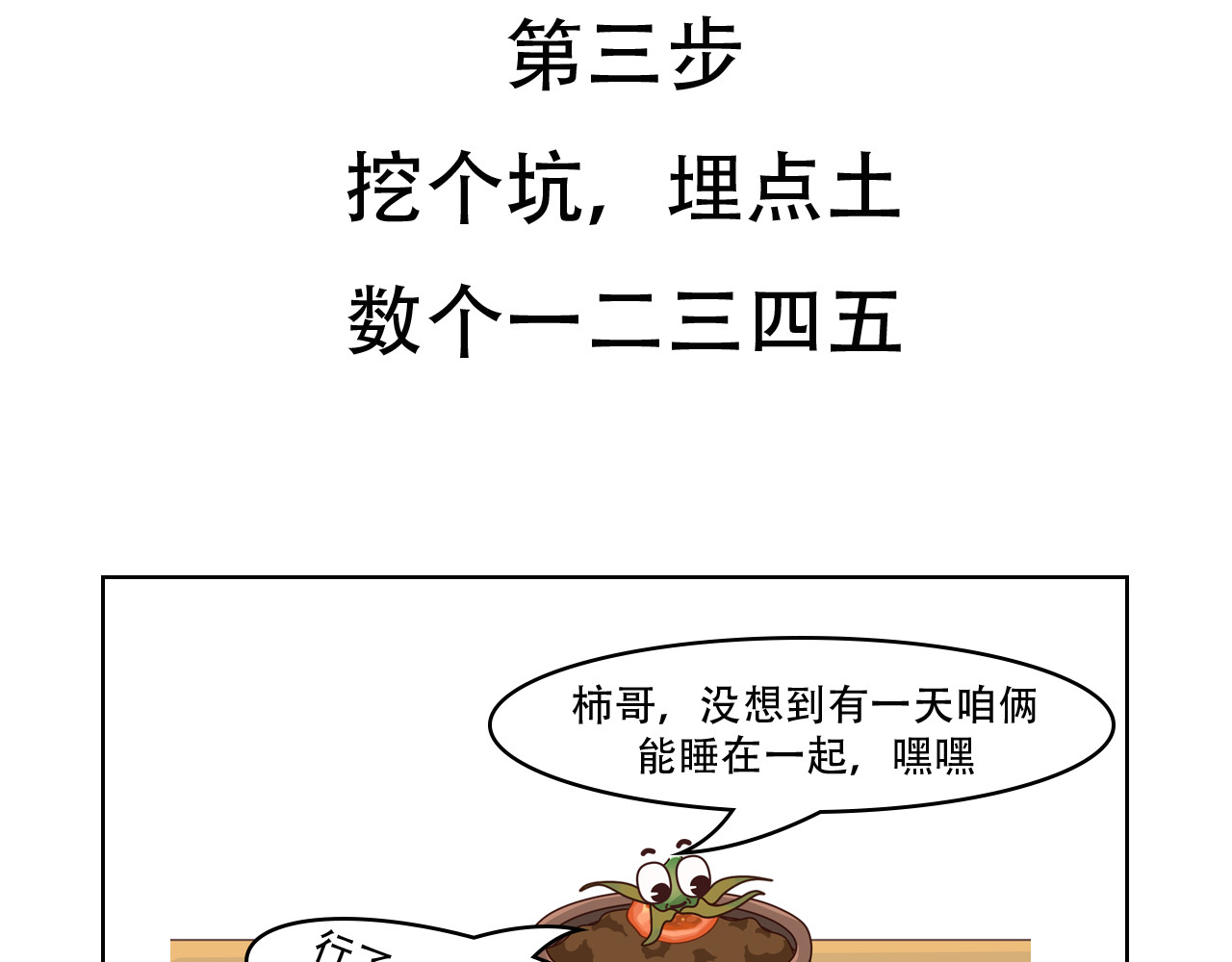 食方—你不知道的种植小技巧 月季花枯萎？一颗西红柿就能起死回生！ 第11页