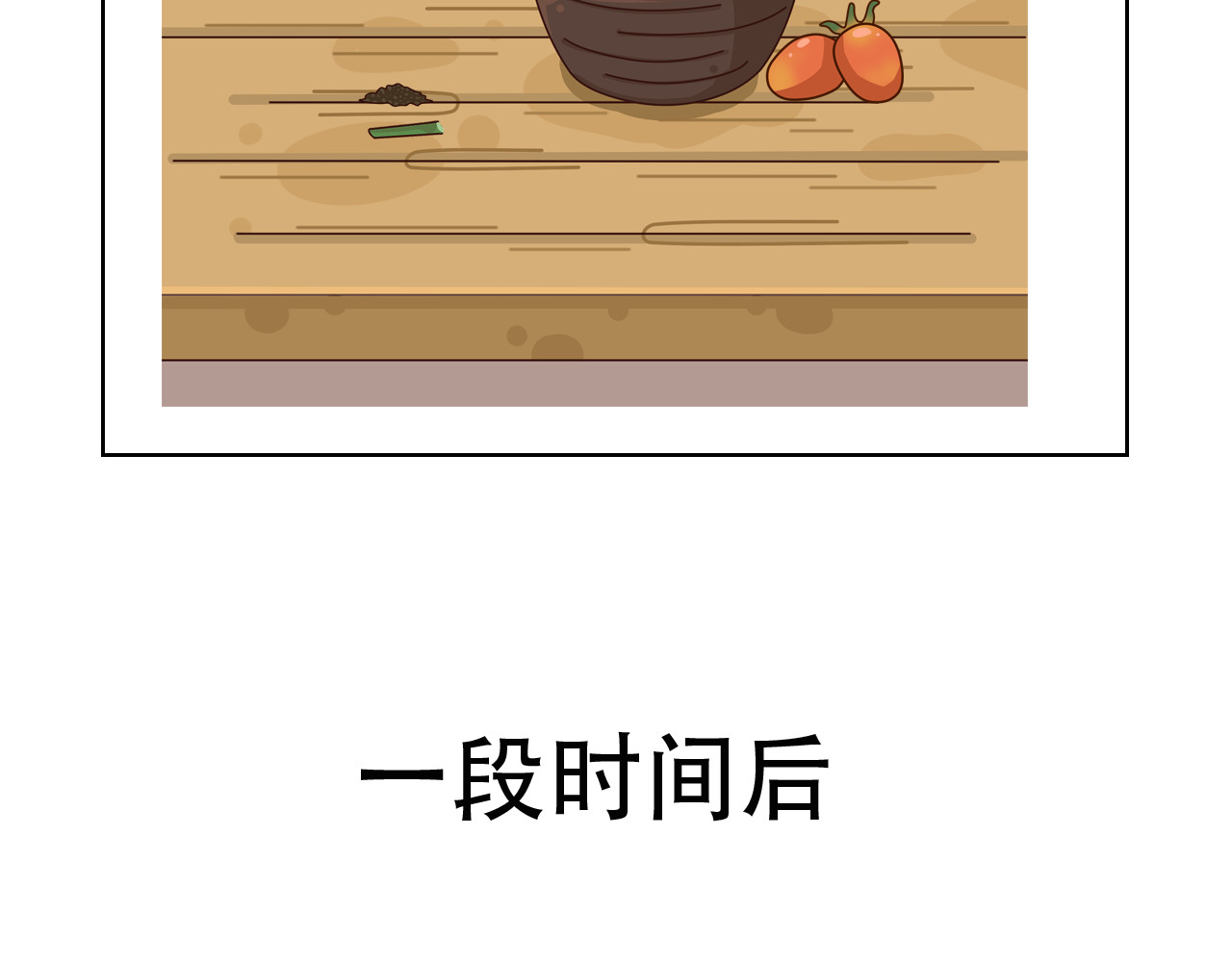 食方—你不知道的种植小技巧 月季花枯萎？一颗西红柿就能起死回生！ 第13页