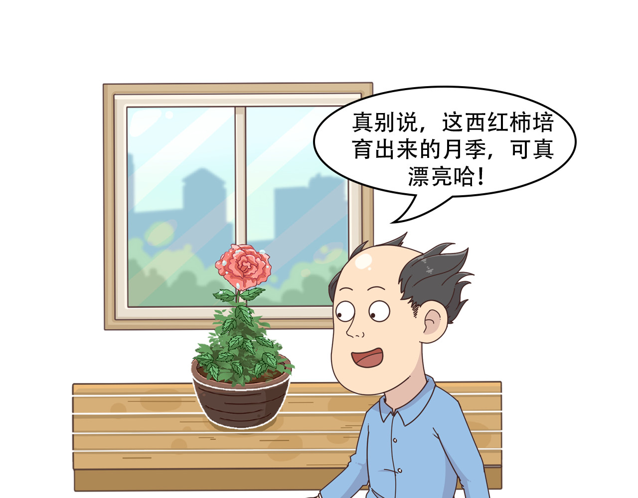食方—你不知道的种植小技巧 月季花枯萎？一颗西红柿就能起死回生！ 第14页