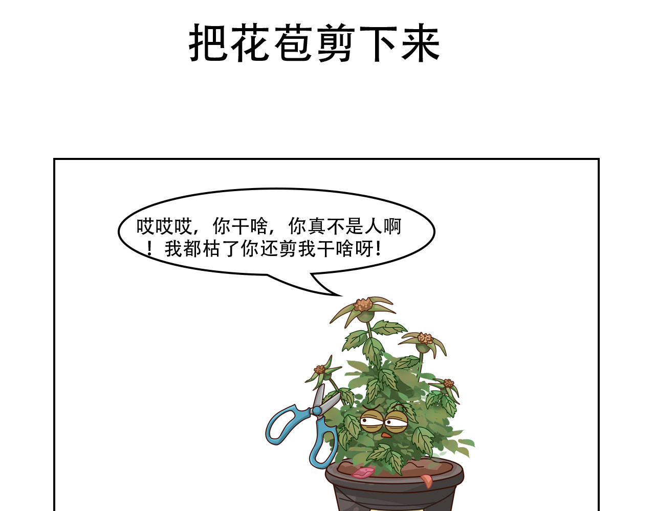 食方—你不知道的种植小技巧 第3页