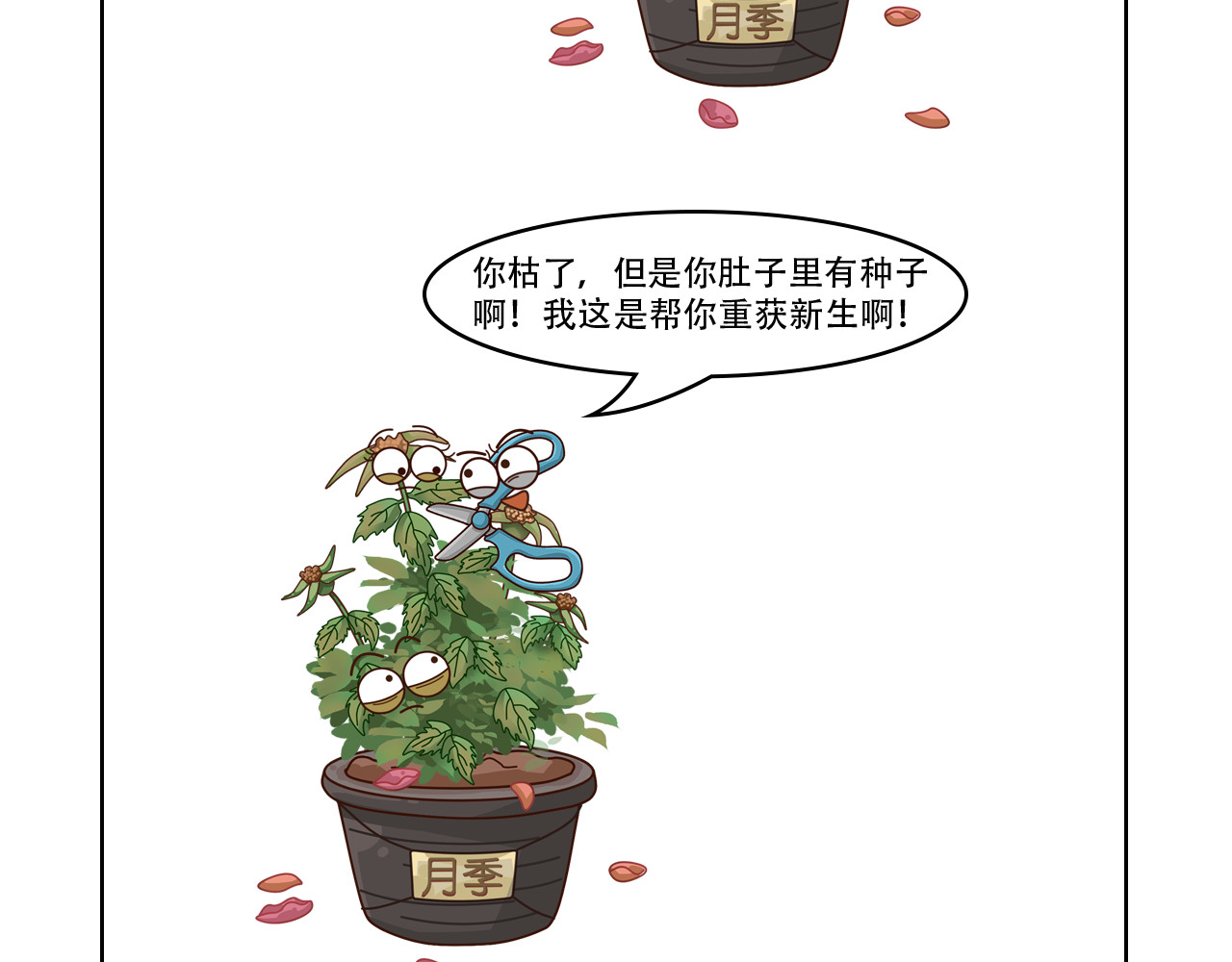 食方—你不知道的种植小技巧 第4页