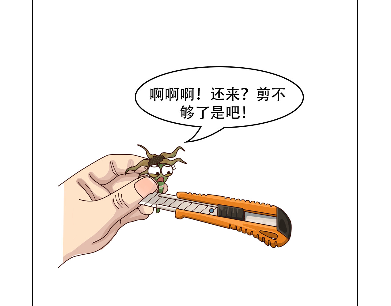 食方—你不知道的种植小技巧 第6页