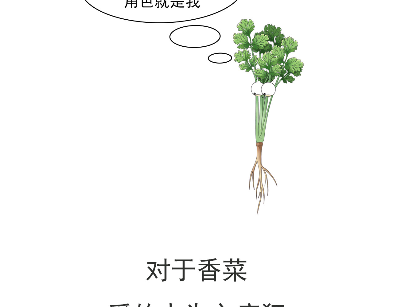 食方—你不知道的种植小技巧 香菜种子捶一捶，长得茂盛谁怕谁 第2页