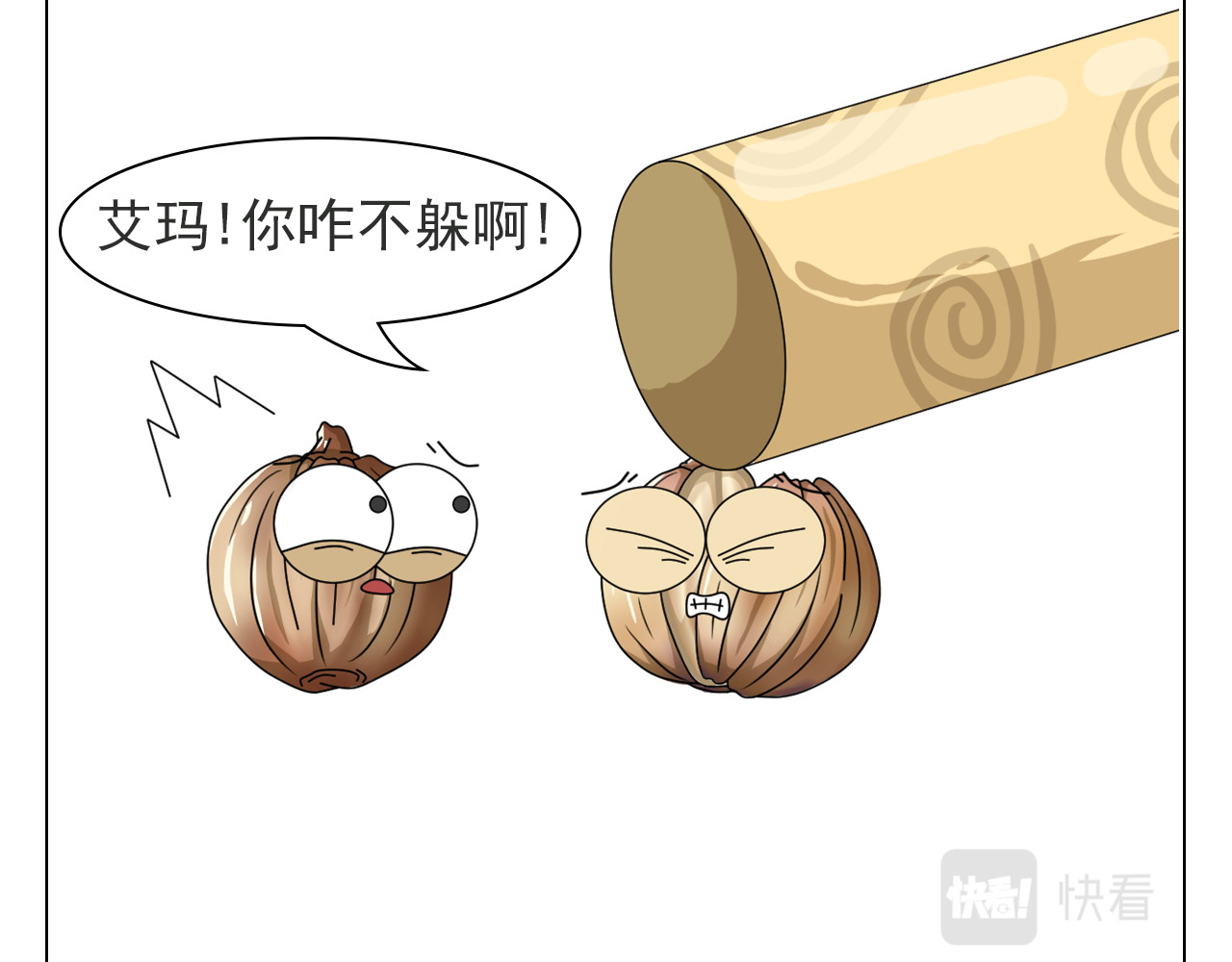 食方—你不知道的种植小技巧 香菜种子捶一捶，长得茂盛谁怕谁 第11页