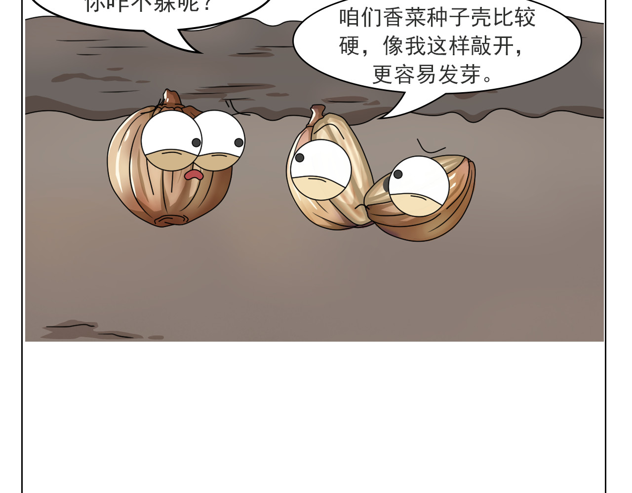 食方—你不知道的种植小技巧 香菜种子捶一捶，长得茂盛谁怕谁 第17页