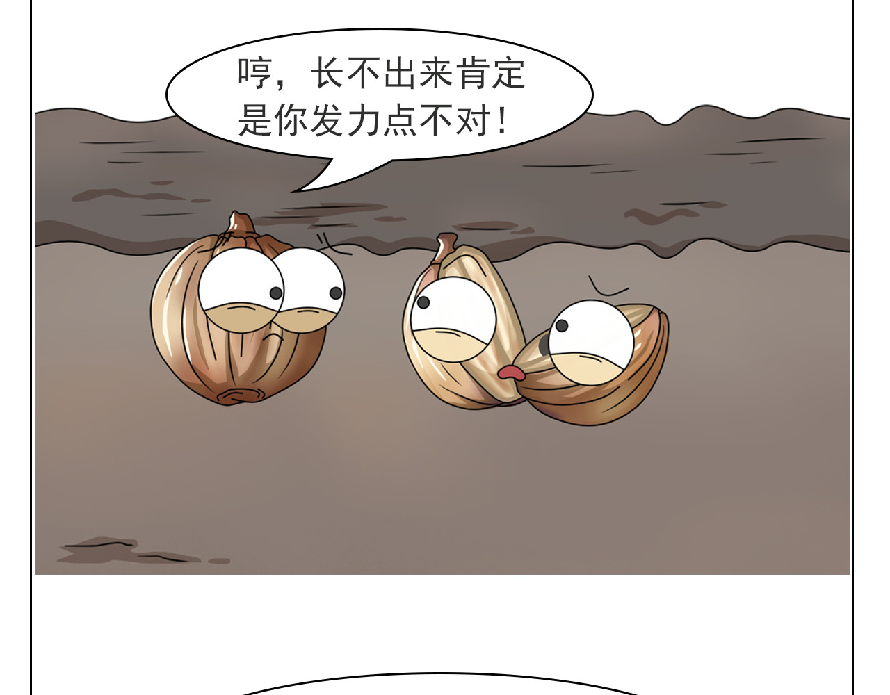 食方—你不知道的种植小技巧 香菜种子捶一捶，长得茂盛谁怕谁 第18页