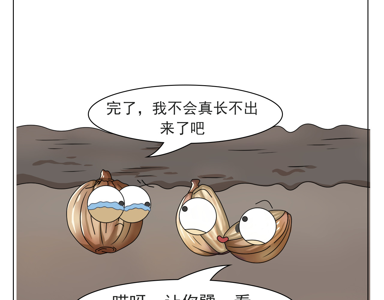 食方—你不知道的种植小技巧 香菜种子捶一捶，长得茂盛谁怕谁 第21页