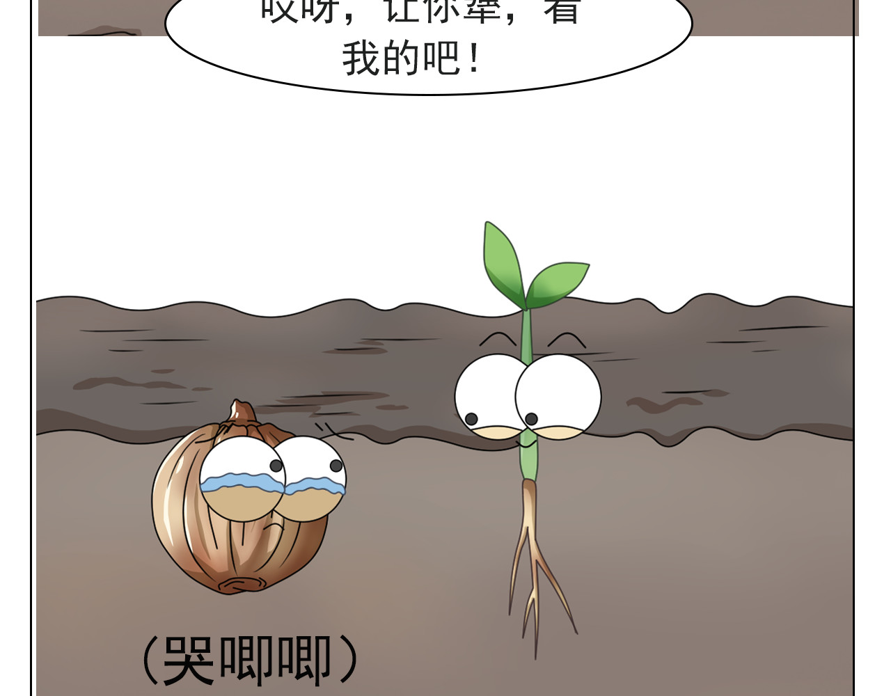 食方—你不知道的种植小技巧 香菜种子捶一捶，长得茂盛谁怕谁 第22页