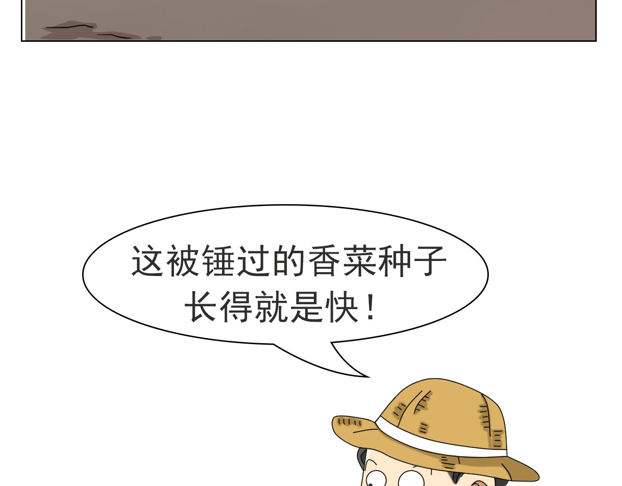 食方—你不知道的种植小技巧 香菜种子捶一捶，长得茂盛谁怕谁 第23页