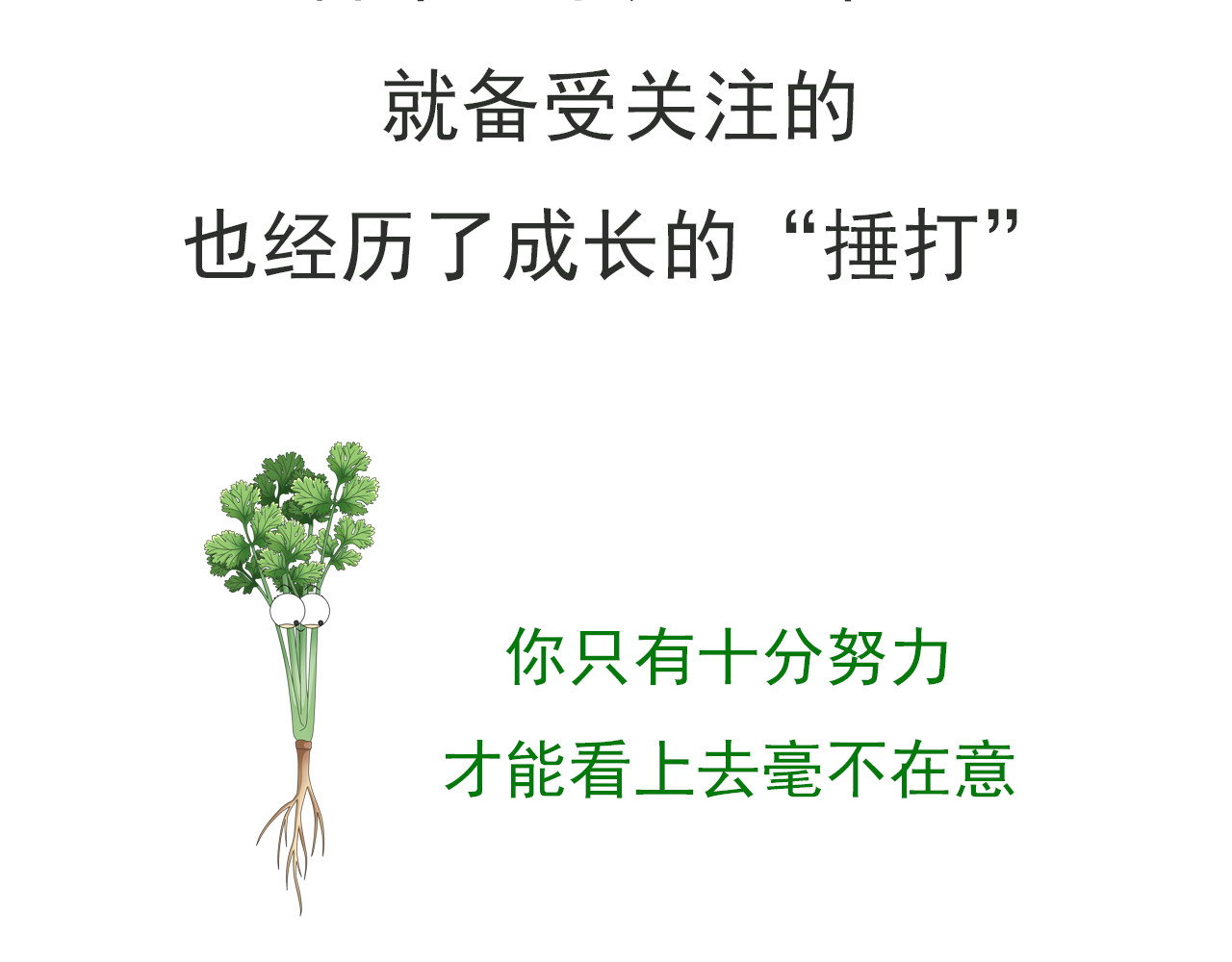 食方—你不知道的种植小技巧 香菜种子捶一捶，长得茂盛谁怕谁 第5页