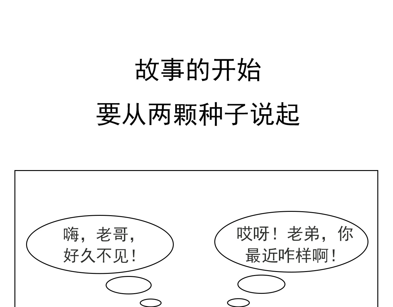 食方—你不知道的种植小技巧 香菜种子捶一捶，长得茂盛谁怕谁 第6页