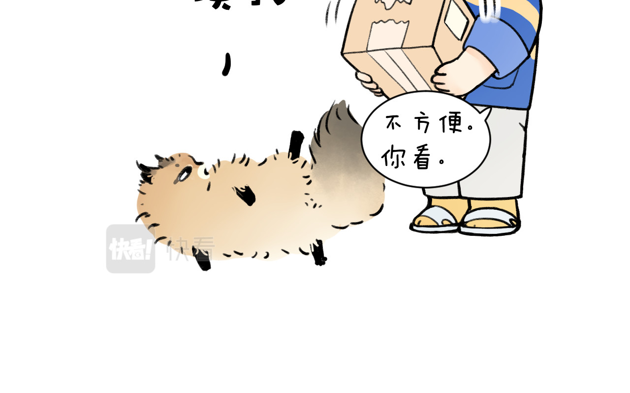 《小日子》 绊脚猫 第5页