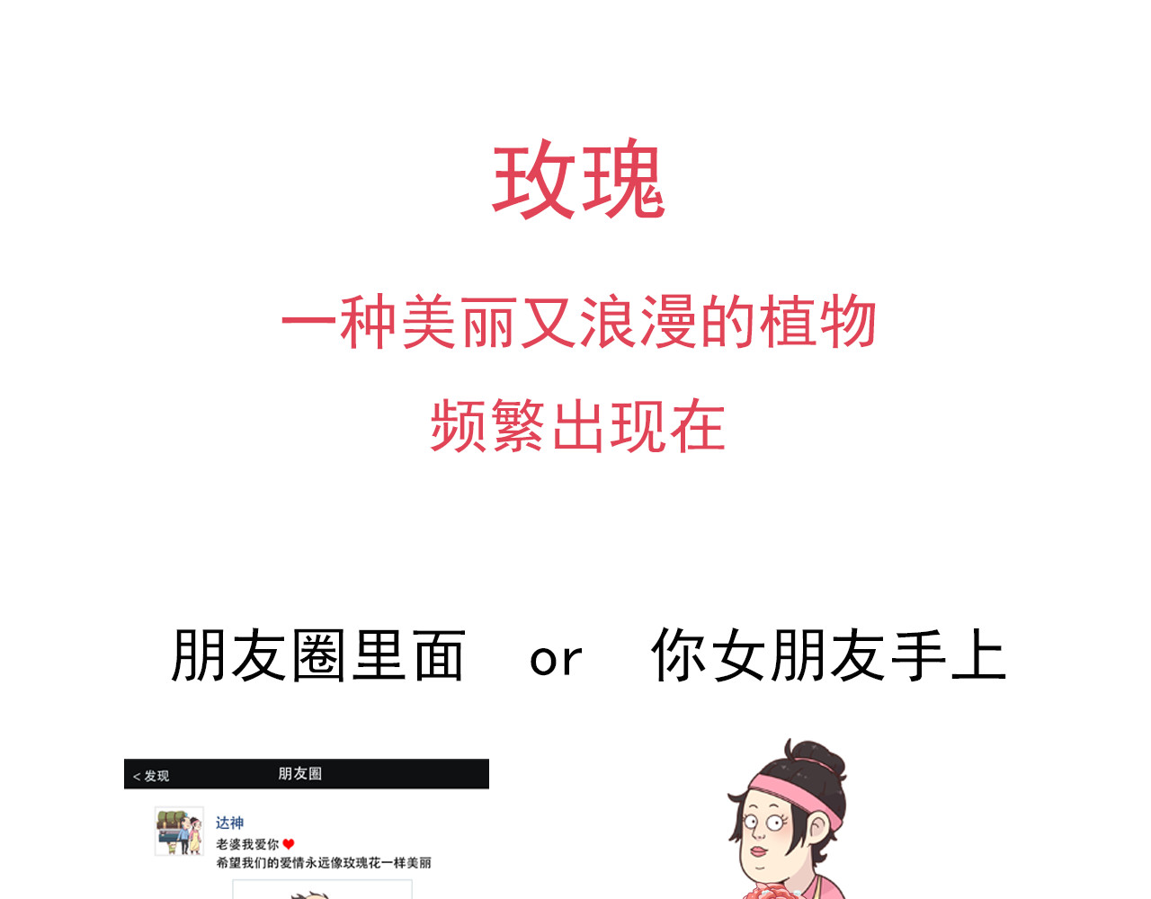 食方—你不知道的种植小技巧 玫瑰剪枝就“咔”，再开人人都夸 第1页