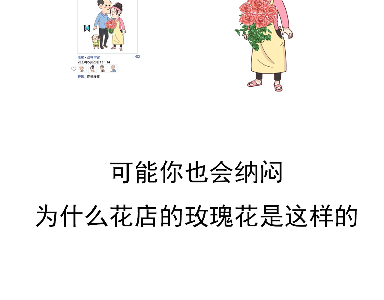 食方—你不知道的种植小技巧 玫瑰剪枝就“咔”，再开人人都夸 第2页