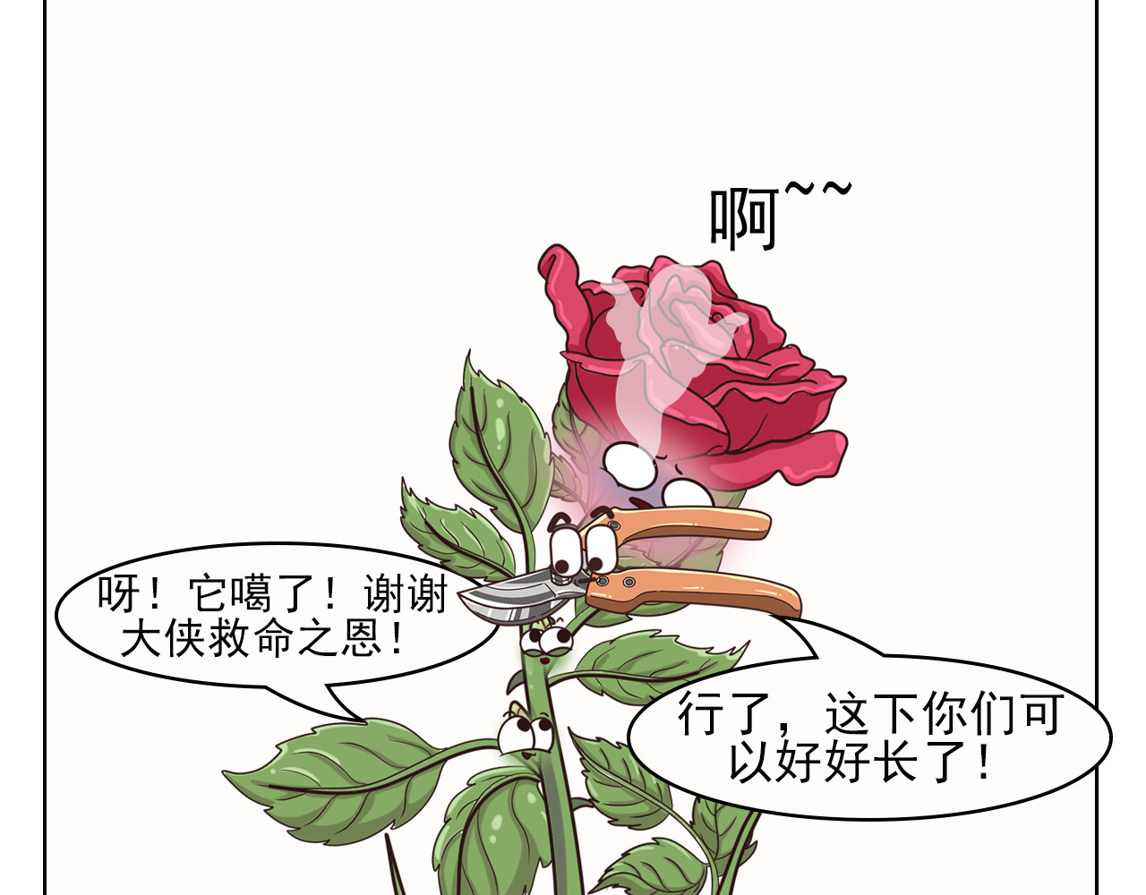 食方—你不知道的种植小技巧 玫瑰剪枝就“咔”，再开人人都夸 第11页
