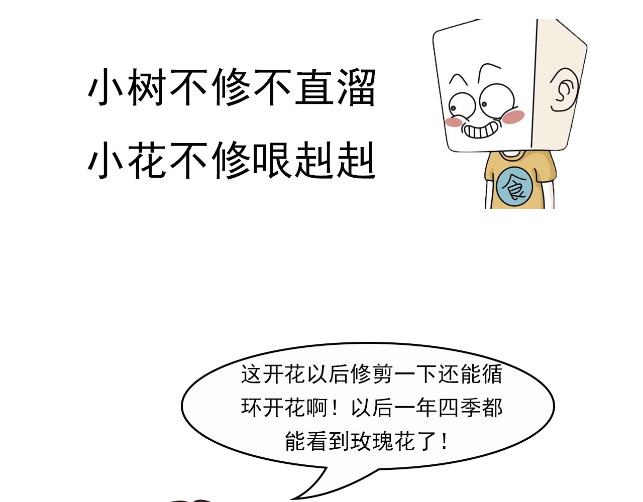 食方—你不知道的种植小技巧 玫瑰剪枝就“咔”，再开人人都夸 第17页
